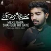 Mere Baba Shaheed Ho Gaye