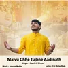 About Malvu Chhe Tujhne Aadinath Song