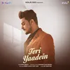 About Teri Yaadein Song