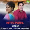 About Nittu Puffa Song