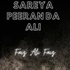 About Sareya Peeran Da Ali Song