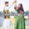 About Janan Sitamgar Dai Song