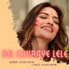 About Dil Churaye Lele Song