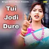 About Tui Jodi Dure Song