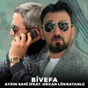 About Bivefa Song