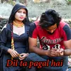 About Dil ta pagal hai Song