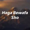 About Haga Bewafa Sho Song