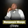 About Mnyunyizi Wangu Song