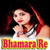 About Bhamara Re Song