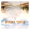 About עוטף געגוע Song