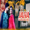 About Meri Jana Diwani Song