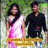 About Gundelo Sudhultho Guchinattu Song