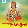 About Kondagattu Meedha Nagamallelo Song