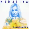 About Захисникам Song