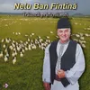 About Trăiască prietenii mei Song