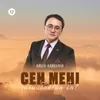 About Сен мені сағанбайсың ба? Song