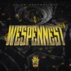 About Wespennest Song