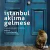 About İstanbul Aklıma Gelmese Song