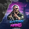 SYSTUMM HANG