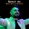 About Mi Gul Dibu / Cebo Cebaro / Kurdo Were Song