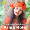 About Kripa Hole Song