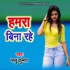 About Hamara Bina Rahe Song