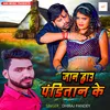 About Jaan Hau Tu Panditan Ke Song