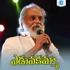 About Eduvakamma Song