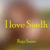 About I love Sindh Song