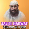 Speena Katra Dar Ta chwom