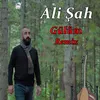 About Gülüm Song