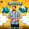 About Capsule Song