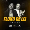 Fluxo De Lei