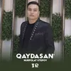 About Qaydasan' Song