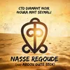 About Nasse Regoude Song