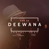 About Hay Re Deewana Song