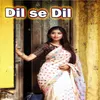 About Dil se Dil Song