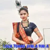 About Luga Tuhar Jhala Mala Song