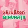 About Sarbatori Song