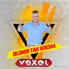 Blondi tak kocha