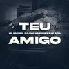 About Teu Amigo Song