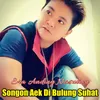 About SONGON AEK DI BULUNG SUHAT Song