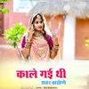 About काले गई थी शहर बाढोणे Song