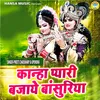 About Kanha Pyari Bajaye Bansuriya Song