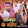 About Sonpur Ke Mela Song