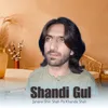 About Janana Shin Shah Pa Khanda Shah Song