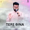 Tere Bina