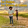 About La Culpa la Tiene el Llano Song