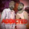 About Addicted Song