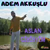 Aslan Gibiyim